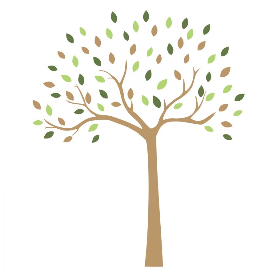 Woodland tree wall sticker Stickerscape